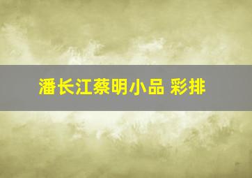 潘长江蔡明小品 彩排